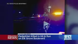 Person Killed In Elk Grove Boulevard Hit-And-Run