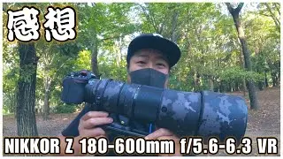 【機材雑談】180-600を約1ヶ月使用して思ったこと - NIKKOR Z 180-600mm f/5.6-6.3 VR -