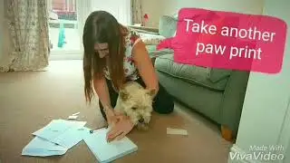 How to take your pet's paw print