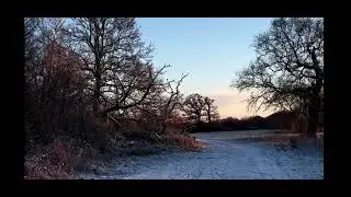 A Winter Wonderland walk through Wenny Meadow, Chatteris with Bramble #walking #dog #winter #snow 