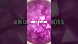 Colorful Chemistry: DIY pH Indicator Experiment