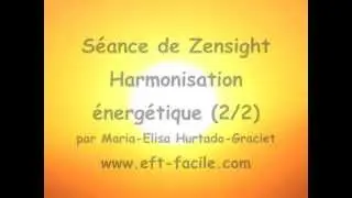 Zensight harmonisation energetique 2