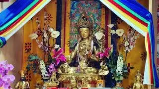 Tara Prayer || Dolma prayer || Jetsun Drolma prayer || 21 Tara’s prayer