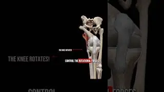 Train Your Knee Through Rotation | Kettlebell Windmill #kneestability #kneestrength #trickstrong