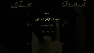 Qadar Aur Waqt | Urdu Quotes | Beautiful Urdu Lines ✨ | Tiktok Status