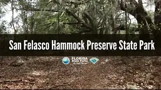 Firsthand Florida Fun: San Felasco Hammock Preserve State Park