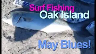 Surf Fishing Oak Island NC - May Blues