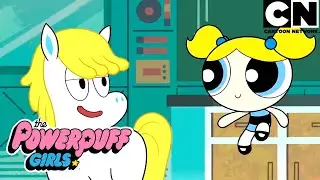 Donny: um grande sonho e sua amizade com as meninas | As Meninas Superpoderosas | Cartoon Network 🇧🇷
