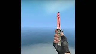 (CSGO) BAYONET KNIFE | Slaughter