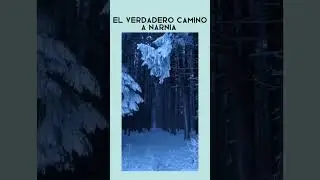#winter #forestwinter #bosquenevado #invierno #coolweather #naturelovers
