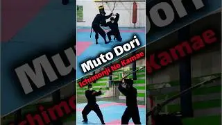 Bujinkan - Taihen jutsu Kihon - Muto Dori (Sword Evasion Drill) #ninjutsu #bujinkan #shortvideo