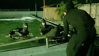 Rescuing a Captive Dolphin