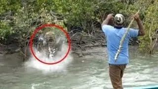 14 Pertemuan Harimau Paling Menakutkan Tahun Ini