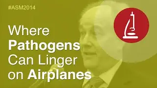 Where Pathogens Can Linger on Airplanes