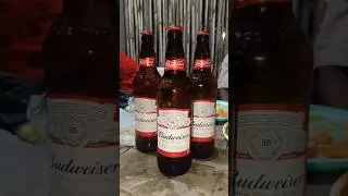 Budweiser Beer 🍻