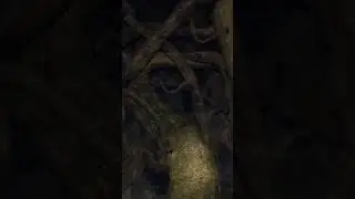 LO QUE NOS ENSE&Ntilde;A DARK SOULS #darksouls #fromsoftware  #eldenring #gaming #bloodborne