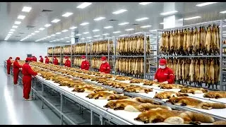 Full Process From Raising Foxes for Fur to Producing High-Quality Fox Fur Coats