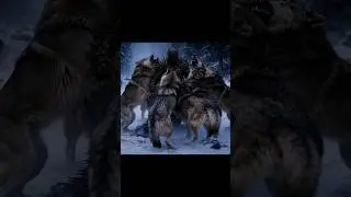 the way to survive in the wolves. #needleman needle worrior.