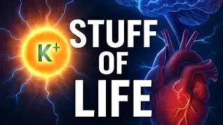 Potassium | The Hidden Metal That Powers Life
