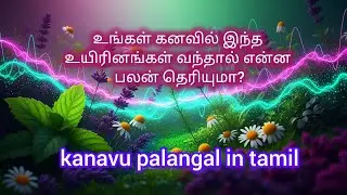 கனவுப் பலன்கள்/kanavu palangal in tamil/Ponmagal