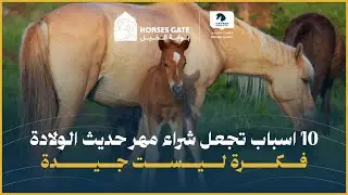 10 اسباب تجعل شراء مهر حديث الولادة فكرة ليست جيدة.
