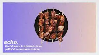beef skewer. [e c h o .]