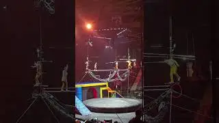 Ringling Bros. and Barnum & Bailey 🎪 Full Circus Experience