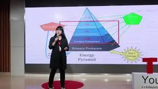 How Did These Animals Disappear? | Siqi Qin | TEDxYouth@BBA