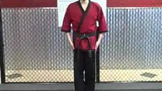 Basic stance training - Karate and Kickboxing in Highlands Ranch