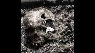 Overwhelmed-Vengeful Proud, Anthem of Broken Necks(2019 By Virtue of Persistence)