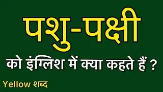 पशु पक्षी को इंग्लिश में क्या कहते हैं/ पशु पक्षी का मतलब क्या होता है