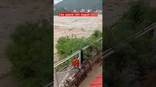 Ganga Water level up Live update 🌊 #rishikesh #havyrain