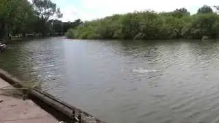 Carp Fishing at The Lough