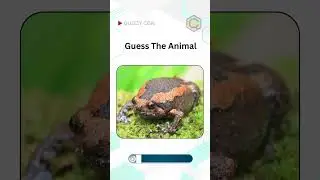 Animal Guessing Game -396 | Can you Guess these Animal Names | Animal Names |#quizzycon  #animals