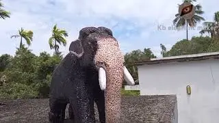 Indian Elephant  mangalamkunnu karnan all Kerala elephants fans favourite elephant