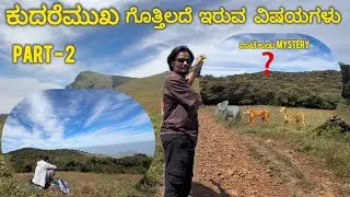 ಕುದರೆಮುಖ ದಲ್ಲಿ Wild Animals ಕಾಡಿಗೆ No Entry ⛔️ | PART - 2 | Santhu vlogs 