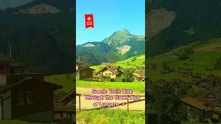Scenic Train Ride Through the Green Alps of Lungern 🇨🇭✨