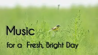 A Beautiful Morning: Uplifting Background Music, Wake Up Happy: Fresh and Bright Morning Soundtrack
