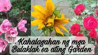 REASONS TO PLANT MORE FLOWERS IN YOUR GARDEN by BHING - Gardening
