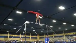 Shane Sadighi - High Bar - 2017 Winter Cup Prelims