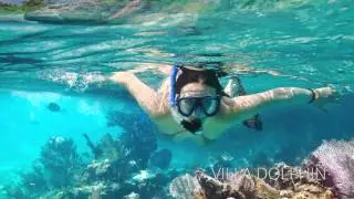 Motion Graphic Video Production for Vacation Spot: Villa Dolphin