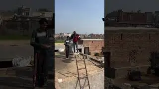 Kabootar bazi song stutes #kabootar #birds #pigeon #kabootarlovers