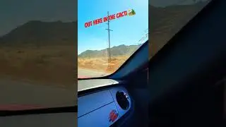 coyote mustang in its natural habitat part 1 #desert #mustang #car #speed #viral #coyote #shorts