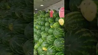 Арбуз Конго 🔪🍉🔥 +7(912)847-52-01 WA/TG