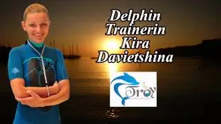 Team Video my dolphins turkey