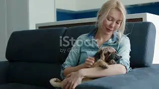 How our fur babies, from puppies to mature dogs, express love
