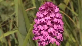Basilicata e Natura: un territorio da assaporare, video 3/3: Montagne e complessi vulcanici