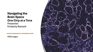 2025 Image Awards Lightning Talks- Navigating the Brain Space: