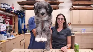 Newest FTBT Team Member - Fix This Build That Live - 7/25/2021