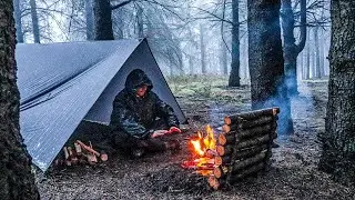 Camping in Nature | 24/7 Relaxing Campfire Ambience for Sleep & Study